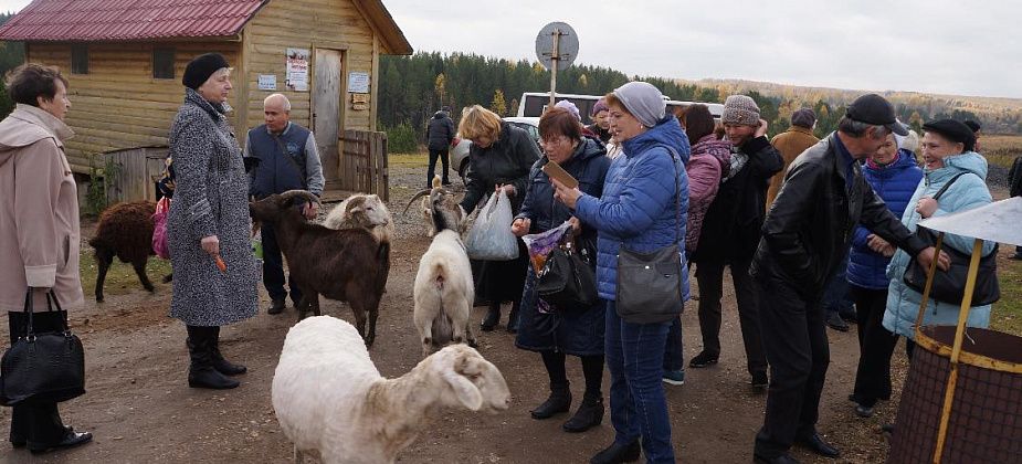 Едем в Висим!
