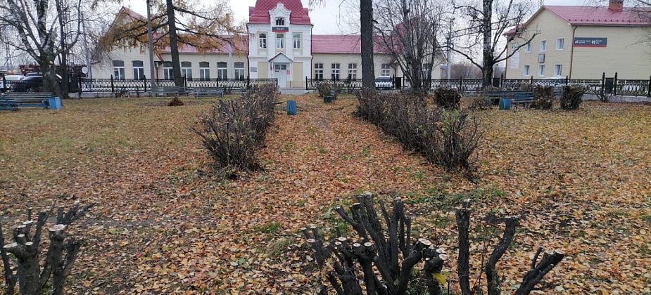 У железнодорожного вокзала Серова облагородили сквер – кронировали кустарник