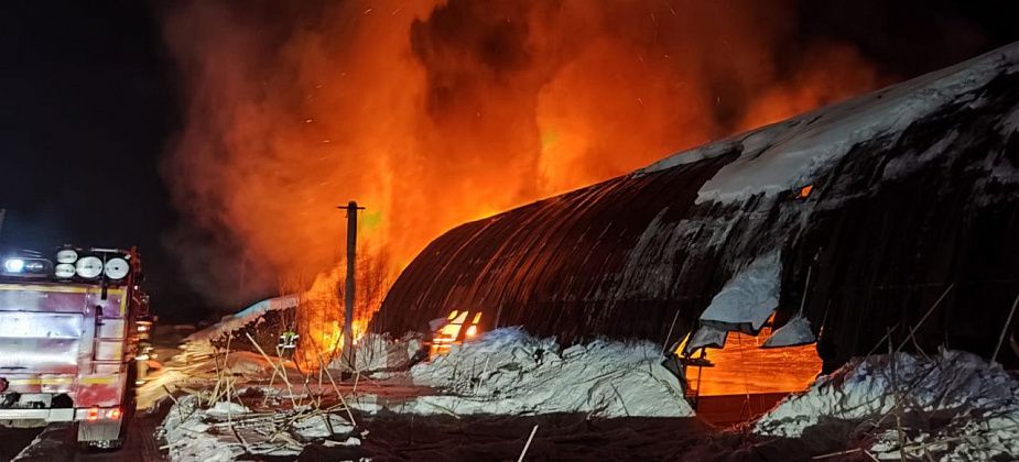 В пожаре на лесопилке в Серове погиб сторож. Следственный комитет проводит проверку