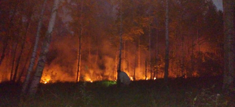 "Какой-то рыбак оставил костерок"... Под Серовом произошел лесной пожар
