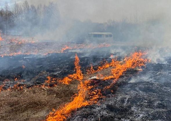 Под Серовом полыхает первый в 2022 году природный пожар. Горят поле и лес