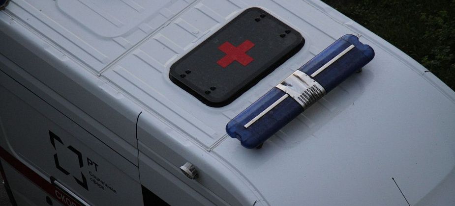 В Серове домашняя собака покусала 5-летнюю девочку за лицо. Ребенок доставлен в больницу Екатеринбурга