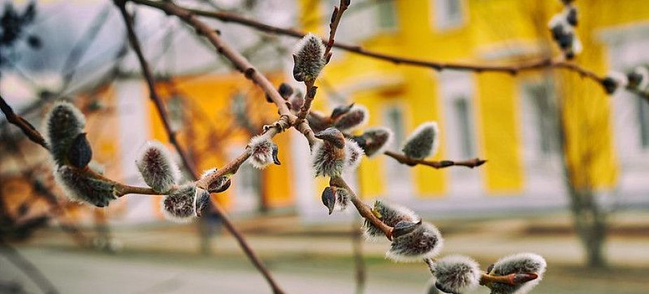 Главный синоптик Свердловской области рассказала, когда наступит весна