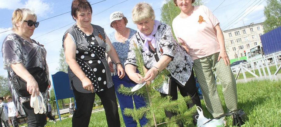 В Серове в рамках акции «Сад памяти» высадили сосны и березу