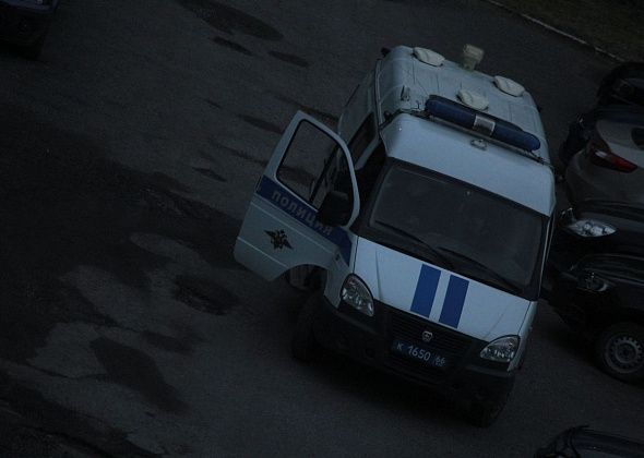 Нелепая шутка? Жительница Гарей рассказала, что при поездке в Серов у нее попытались отобрать сумку