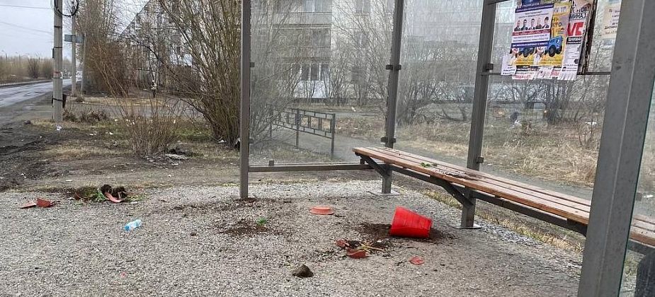 Бедлам на остановочном комплексе в Серове