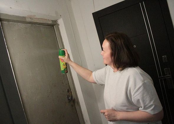 Тараканы, мусор, кошки. Шесть лет серовчане не могут решить ситуацию с проблемной соседкой