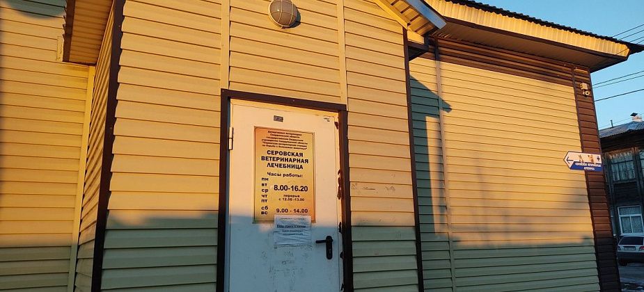 Серовская ветстанция проводит бесплатную вакцинацию собак и кошек от бешенства на дому