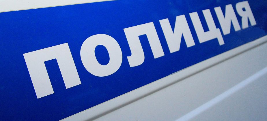 Полиция просит серовчан помочь установить личность водителя, сбившего женщину-пешехода