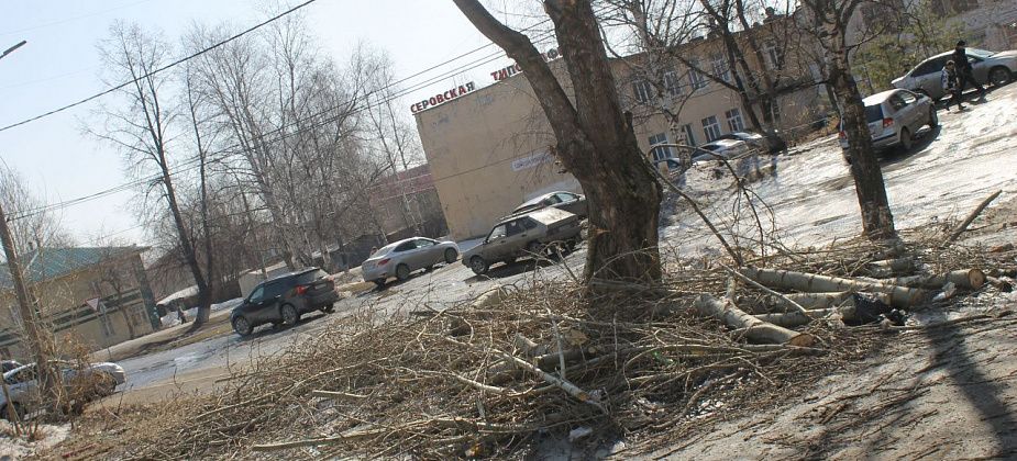 "Спилили, а убирать кто будет?". Серовчане возмущены: с прошлого года не могут убрать кучу веток