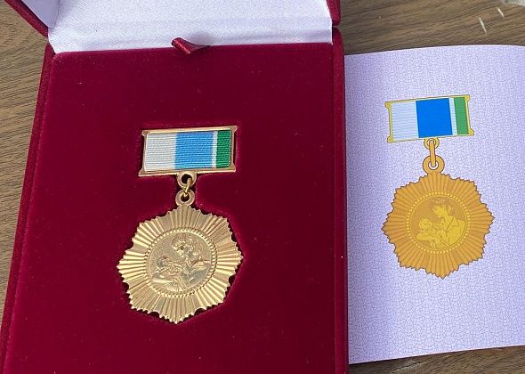 Дюжина супружеских пар и две многодетные мамы из Серова получат «семейные» награды