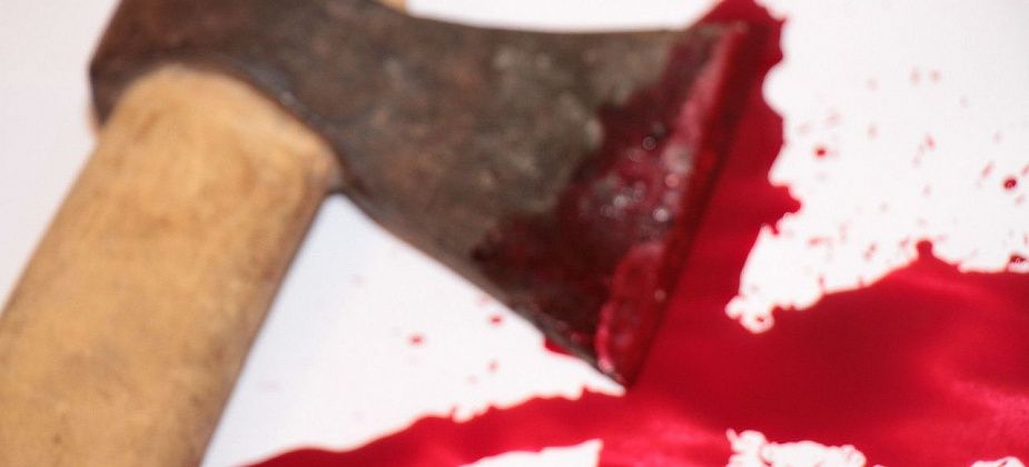 В Серове осудили мужчину, зарубившего знакомого