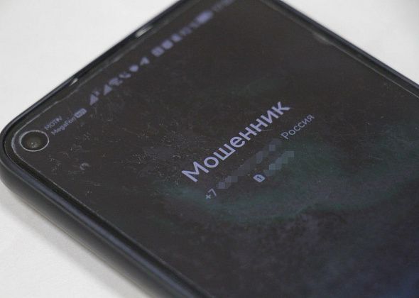 В Серове снизилось количество случаев IT-мошенничества, но вырос размер ущербов
