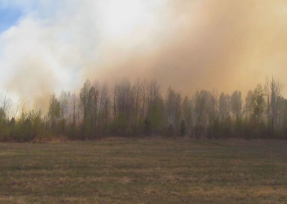 В серовском селе Андриановичи вновь бушевал пожар