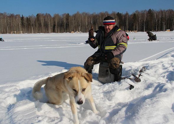 В конкурсе подледного лова “На крючке” испытали удачу “Октябренок” с Кузькой и еще 31 рыбак 