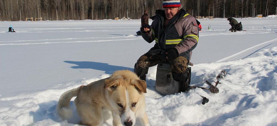 В конкурсе подледного лова “На крючке” испытали удачу “Октябренок” с Кузькой и еще 31 рыбак 