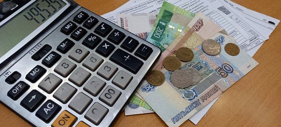 В Госдуме предложили освободить многодетные семьи от оплаты ЖКХ