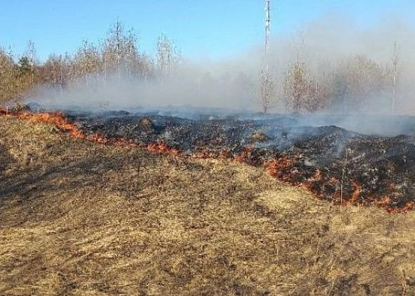 За сутки в Серове трижды горела сухая трава