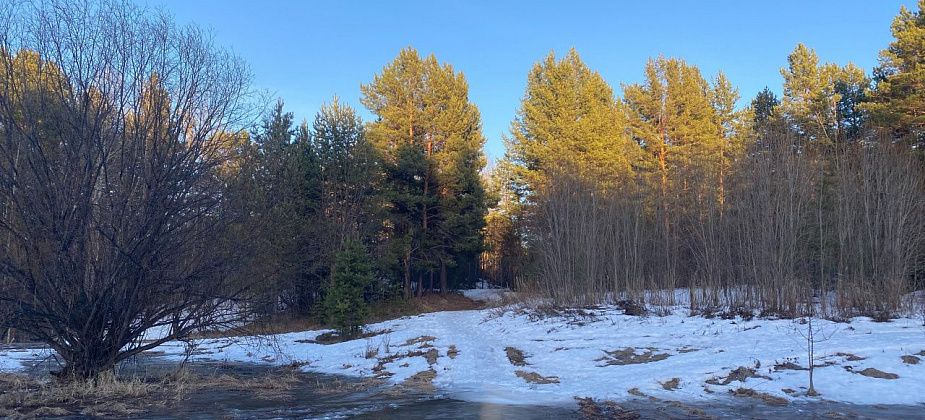 Первые дни апреля на севере области будут теплыми