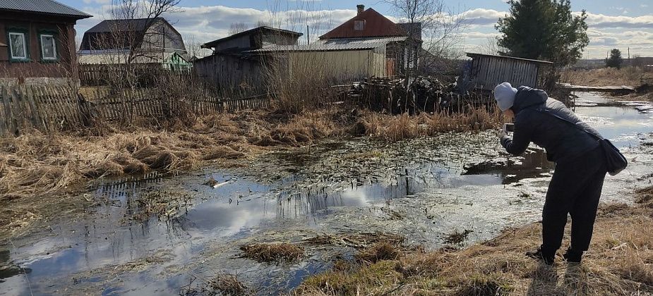Росприроднадзор ответил на запрос "Глобуса" о ситуации в Завокзальном, жители которого жаловались на разлив нефтепродуктов