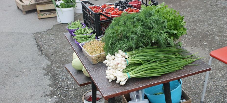 Рекомендации для населения при покупке плодоовощной продукции