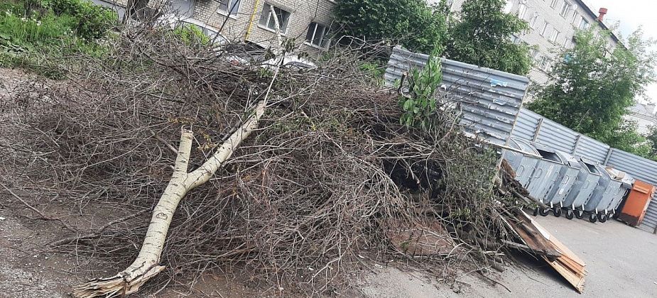 «Рифей» хотел взыскать с мэрии Серова компенсацию за уборку мусора и веток с 19 контейнерных площадок. Не получилось