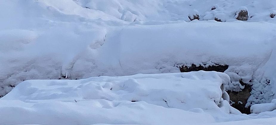 "Стандарт Строй" не торопится ограждать ямы на улице Заславского?