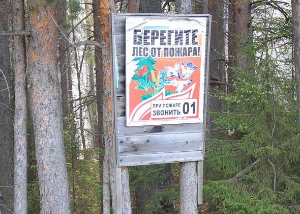 В Свердловской области отменили особый противопожарный режим