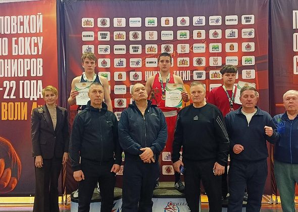 Серовчанин из Академии бокса Константина Цзю успешно выступил на турнире в Нижнем Тагиле