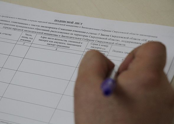 80 серовчан уже поддержали инициативу возвращения прямых выборов мэров