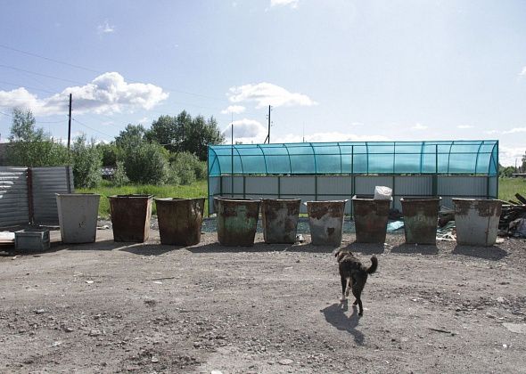 Определился подрядчик, который займется содержанием контейнерных площадок в частном секторе Серова