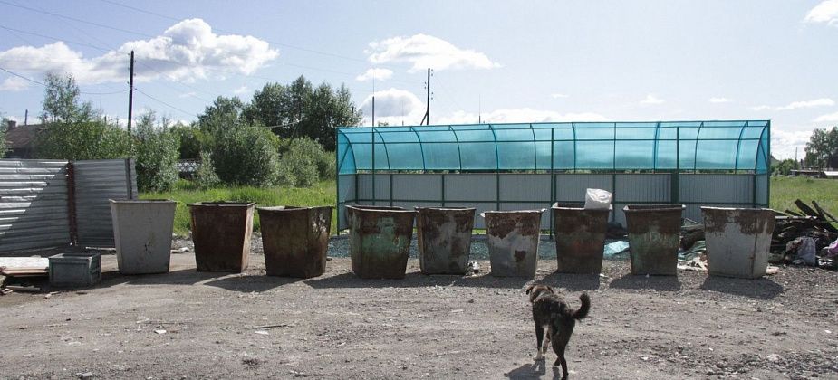 Определился подрядчик, который займется содержанием контейнерных площадок в частном секторе Серова