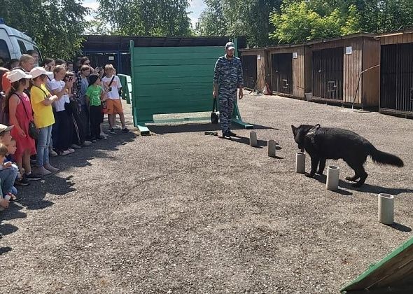 Полиция Серова подводит итоги «Здоровья»