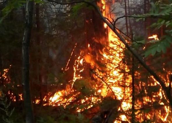 За два дня под Серовом случилось три лесных пожара