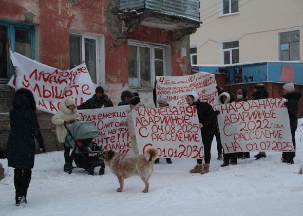 "У нас есть черная плесень, крысы едят котов, сифилис, туберкулез". К президенту обратились серовчане из аварийных домов
