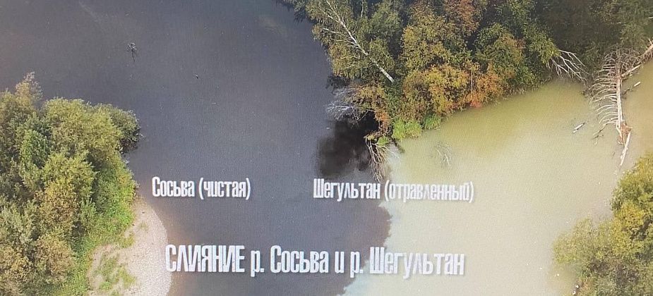 "Это же экологическая катастрофа". Подписчики "Глобуса" в соцсетях обсуждают загрязнение вод Сосьвы