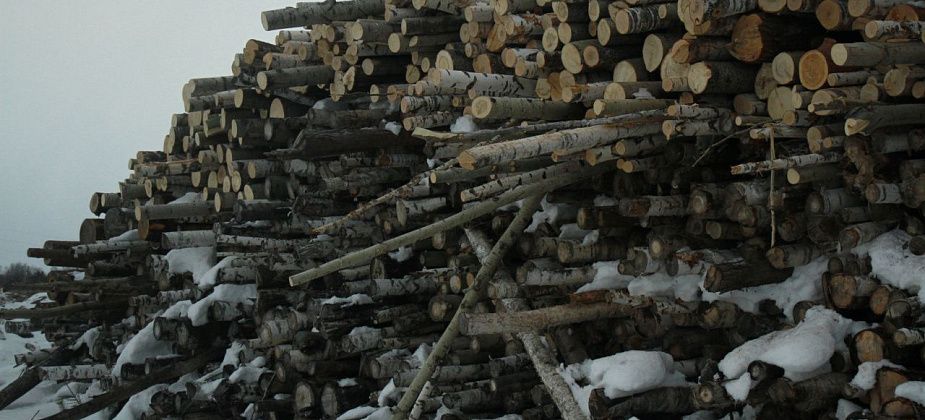 Найдено тело без вести пропавшего серовчанина. Оно было завалено бревнами