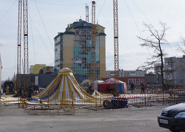 Цирки и зоопарки, приезжающие в Серов, освободили от "излишней административной процедуры"