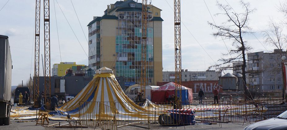 Цирки и зоопарки, приезжающие в Серов, освободили от "излишней административной процедуры"