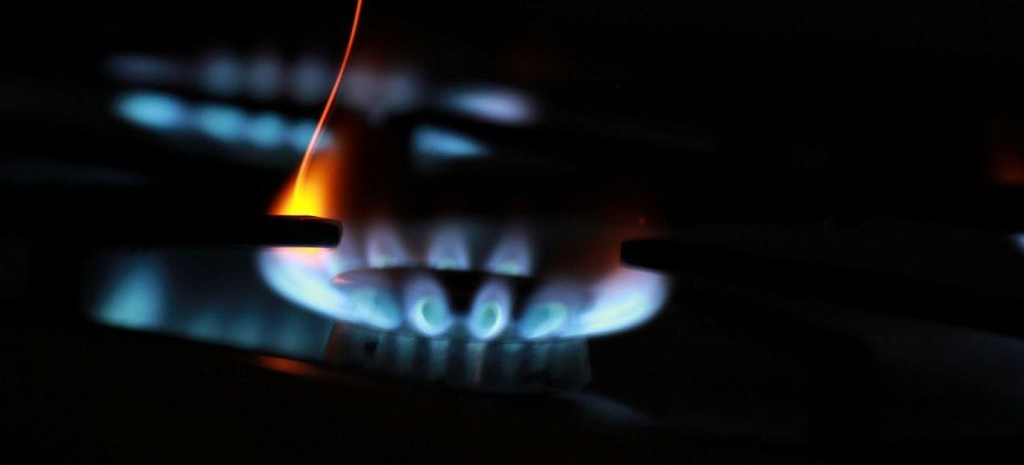 В Серове готовятся к прокладке газопровода в районе улицы Каквинской? Для этого вырубят деревья