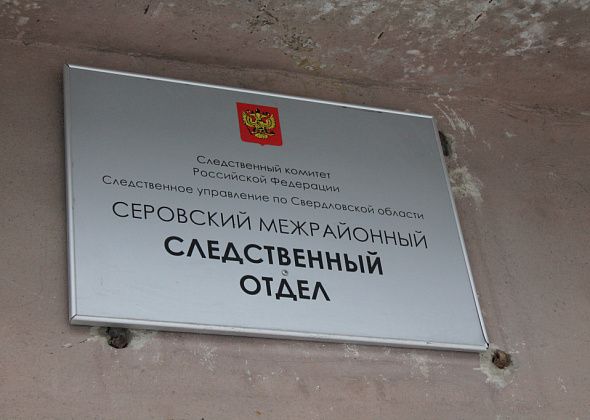 Следственный комитет проводит проверку по факту обнаружения тела серовчанки, объеденного животными