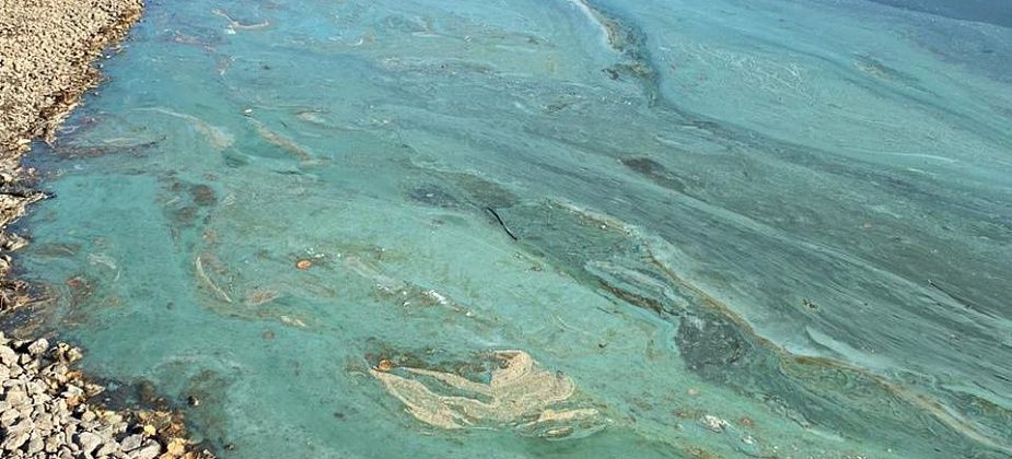 "Впервые такое чудо вижу". Серовчанин обеспокоен цветом воды на Киселевском водохранилище