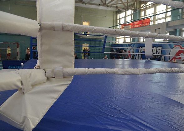 Спортшкола Серова приобретает новый боксерский ринг