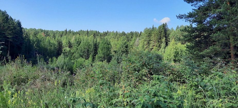 Туристов просят регистрировать свои маршруты в МЧС