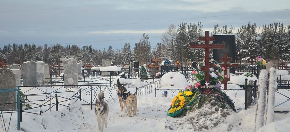 В Серове на содержание трех кладбищ потратят 2,5 миллиона рублей