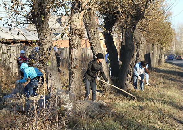 Серовчане, вы готовы выйти на субботник? Опрос