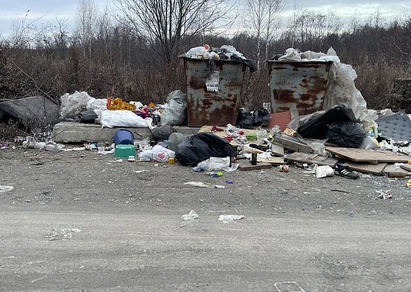 Контейнерную площадку, которая находилась перед садом "Ягодка", убрали 