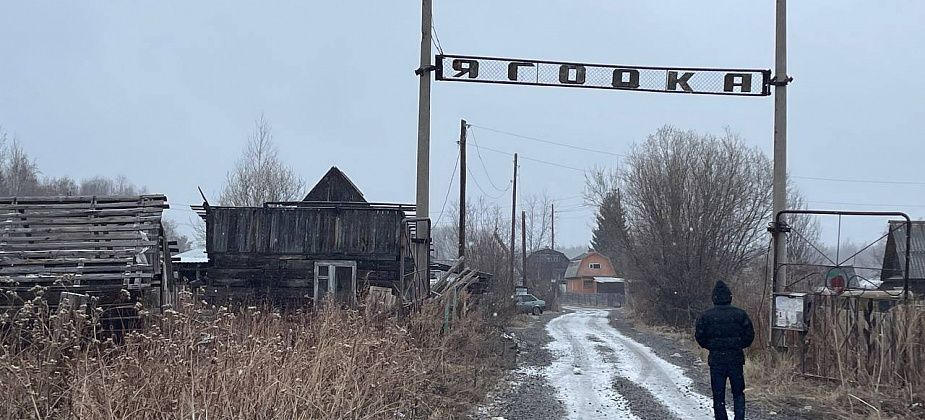 Человеческая голова была обнаружена за пределами «Ягодки», а принести ее туда могли собаки