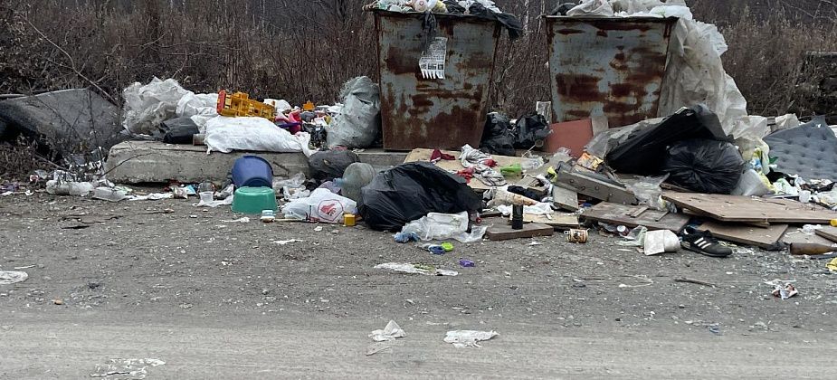 Контейнерную площадку, которая находилась перед садом "Ягодка", убрали 