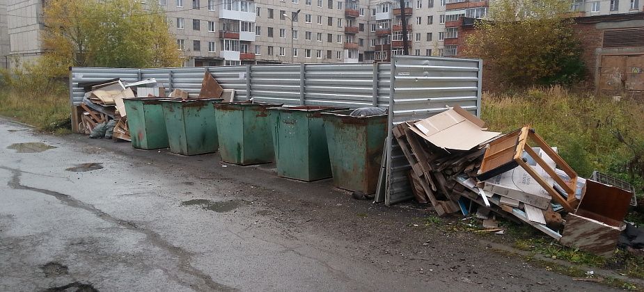 Глава Серова заинтересовался вывозом мусора от торговцев